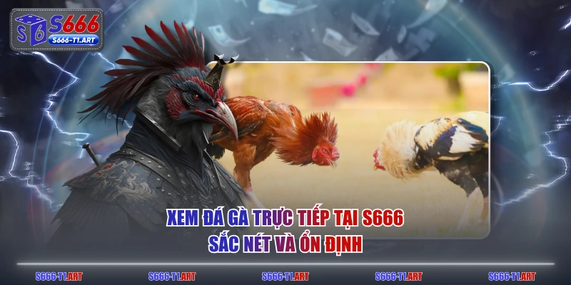 Xem đá gà trực tiếp tại S666 sắc nét và ổn định